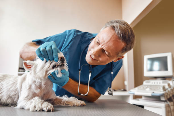 Best Emergency Root Canal Therapy in Goodwater, AL